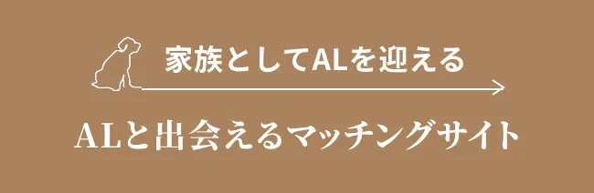 ALと出会えるマッチングサイト