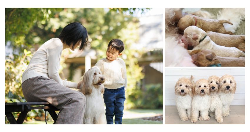 Labra様確認ページ* みっともなく